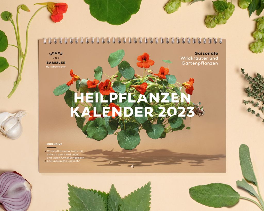 Saisonaler Heilpfanzen Kalender 2023 Created By Isabel Fischer